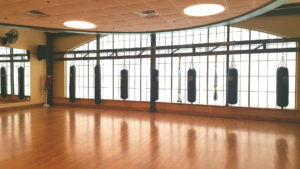 Group Exercise Boxing at Vive Fitness, NJ